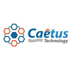 カエタステクノロジー